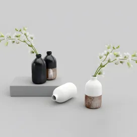 Westelm vases with orchids